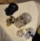 Crani decorative - 1