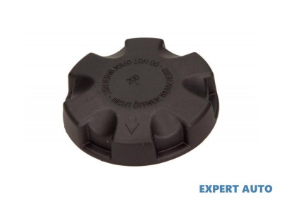 Capac vas expansiune BMW 7 (F01, F02, F03, F04) 2008-2016 foto