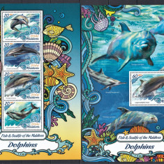 Maldives 2016 - Fauna Marina - DELFINI - BL + KB - MNH