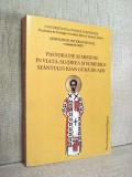 Pastoratie si Misiune in viata, slujirea si scrierile Sfantului Ioan Gura de Aur - Stelian Tanase