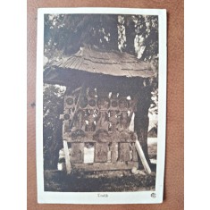 Carte postala Troita, inceput de secol XX