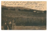 36 - ODOBESTI, Vrancea, Ethnicity and viticulture - old postcard, CENSOR - used, Circulata, Printata