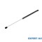 Amortizor hayon Jeep Wrangler 2 (1996-2008)[TJ] #1