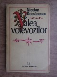 Nicolae Docsanescu - Valea voievozilor