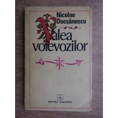 Nicolae Docsanescu - Valea voievozilor
