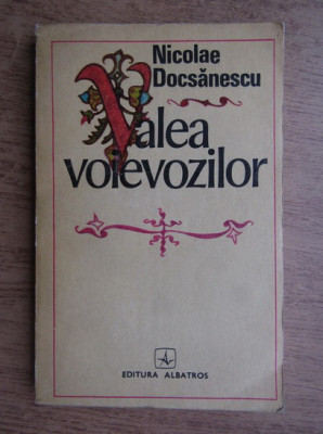 Nicolae Docsanescu - Valea voievozilor foto