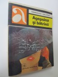 Agepsina si batranii - Morgan Salomie