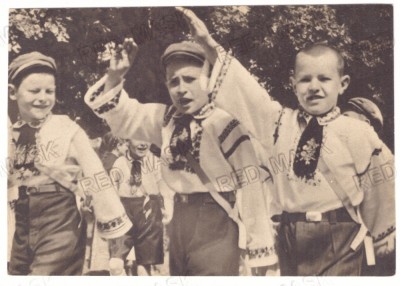 94 - SIBIU, German IRON Guard, Romania - old postcard - unused foto