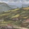 Rom&acirc;nia, Valea Borşei, Maramureş, carte poştală ilustrată, circulată, 1931