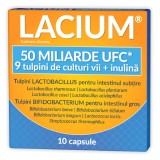 Lacium 50 miliarde UFC, 10 capsule, Zdrovit