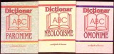 LOT 3 NOTITE DICTIONAR: PARONIME, NEOLOGISME, OMONIME-COLECTIV-338856
