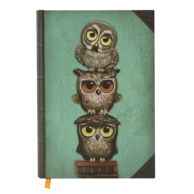Grumpy Owl Agenda coperti tari foto