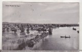 bnk cp Delta Dunarii la Ilgani - Vedere - circulata