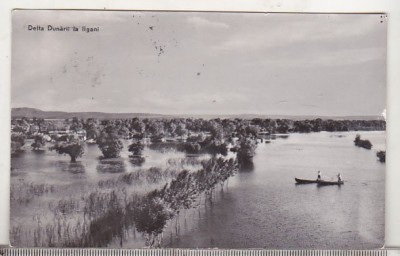 bnk cp Delta Dunarii la Ilgani - Vedere - circulata foto
