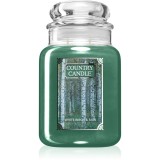 Country Candle White Birch &amp; Rain lum&acirc;nare parfumată 737 g