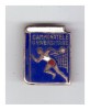 Insigna Campionatele universitare, stare buna, Romania de la 1950
