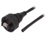 Patch Cord Ethernet 2m Buccaneer