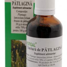 TINCTURA PATLAGINA 50ML