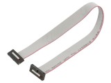 Cablu panglică SAMTEC IDC 10 pini 254mm FFSD-10-D-10.00-01-N-SR
