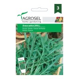 Seminte legume rucola AS-PG3