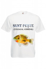 TRICOU BARBATESC IMPRIMEU DTG &amp;quot; SUNT PESTE&amp;quot; foto