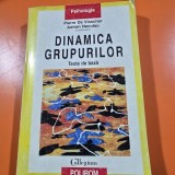 Dinamica grupurilor. Texte de baza - Pierre de Visscher