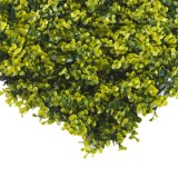 Gard viu artificial / paravan cu frunze imitatie gard viu, Tenax, Divy Buxus, verde, 50 x 50 cm