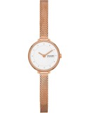 Cumpara ieftin Ceas Dama, Skagen, Gitte Lille SKW3043 - Marime universala