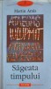 SAGEATA TIMPULUI-MARTIN AMIS-255652