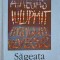 SAGEATA TIMPULUI-MARTIN AMIS-255652
