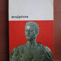 Rudolf Wittkower - Sculptura