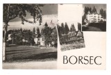 CPIB 20484 CARTE POSTALA - BORSEC, MOZAIC, RPR