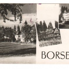 CPIB 20484 CARTE POSTALA - BORSEC, MOZAIC, RPR