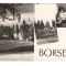 CPIB 20484 CARTE POSTALA - BORSEC, MOZAIC, RPR