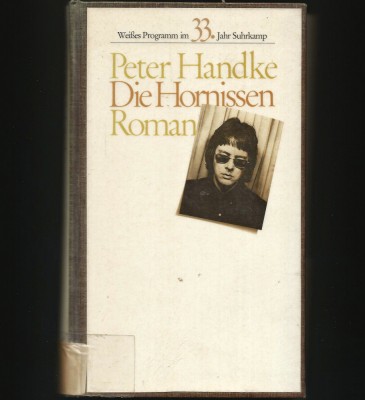 DIE HORNISSEN - PETER HANDKE - ROMAN foto