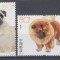 CHINA 2006 RASE DE CAINI SERIE MNH