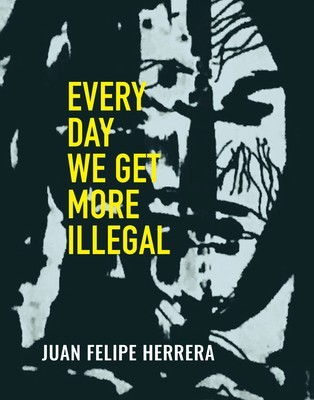 Every Day We Get More Illegal foto