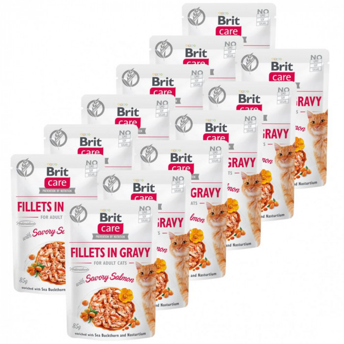 Brit Care Cat Fillets in Gravy Savory Salmon 12 x 85 g