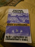 Din culisele Parlamentului - Petre Turlea