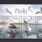 POLONIA 2003 FAUNA WWF PASARI SERIE MNH