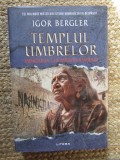 Templul umbrelor. Minciuna lui Michelangelo - Igor Bergler