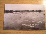 QW24 D - Carte postala - tematica turism - vedere - Delta Dunarii 14