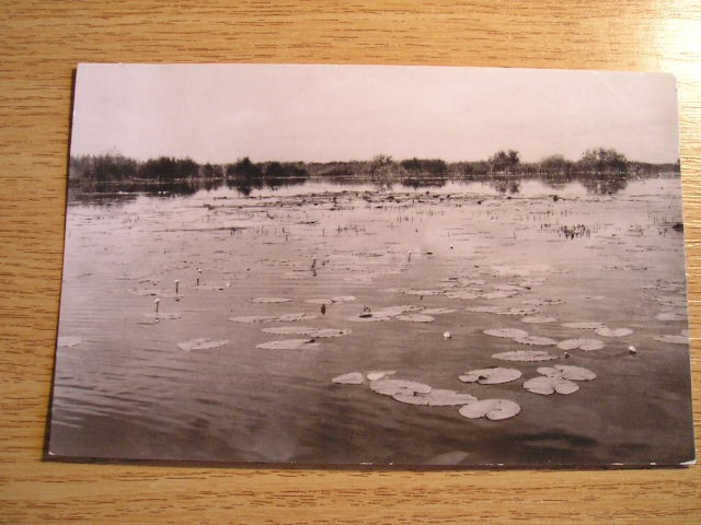 QW24 D - Carte postala - tematica turism - vedere - Delta Dunarii 14