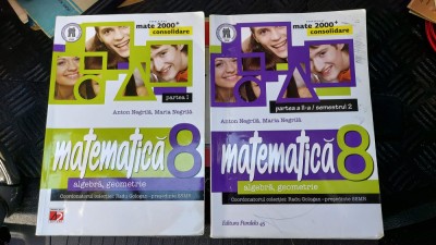 MATEMATICA ALGEBRA GEOMETRIE CLASA A VIII A PARTEA 1 SI 2 ANTON NEGRILA foto
