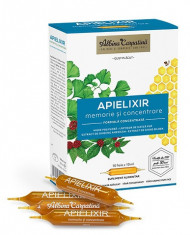 APIELIXIR MEMORIE SI CONCENTRARE 10ML*10FIOLE foto