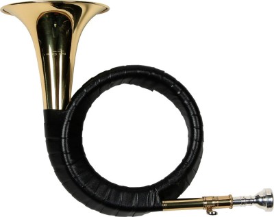 Corn de vanatoare domnesc Karl Glaser Bb F&amp;uuml;rst Pless Horn foto