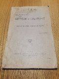 IMPRESII DE CALATORIE - Note de Om Necajit - ARCHIBALD - 1924, 127 p.