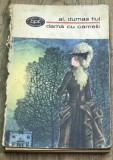 LITR001 BPT0884 Biblioteca Pentru Toti - Al. Dumas fiul - dama cu Camelii