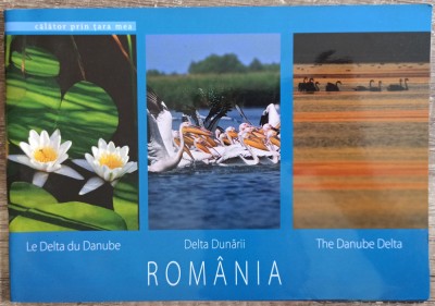 Delta Dunarii// 2010 foto