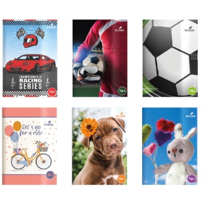 Caiet A5 Tip 1 - Ecada foto